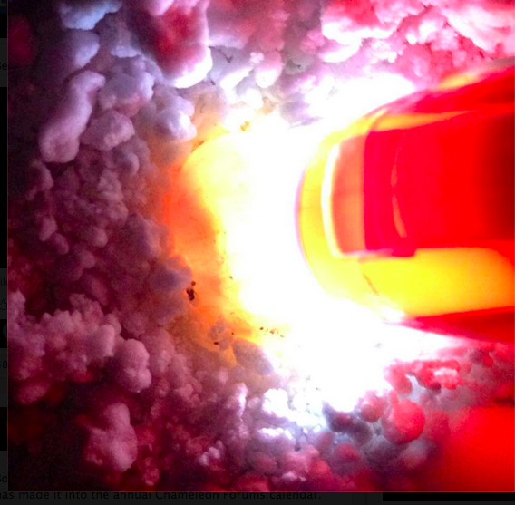 TREE CANDY CHAMELEONS Blog