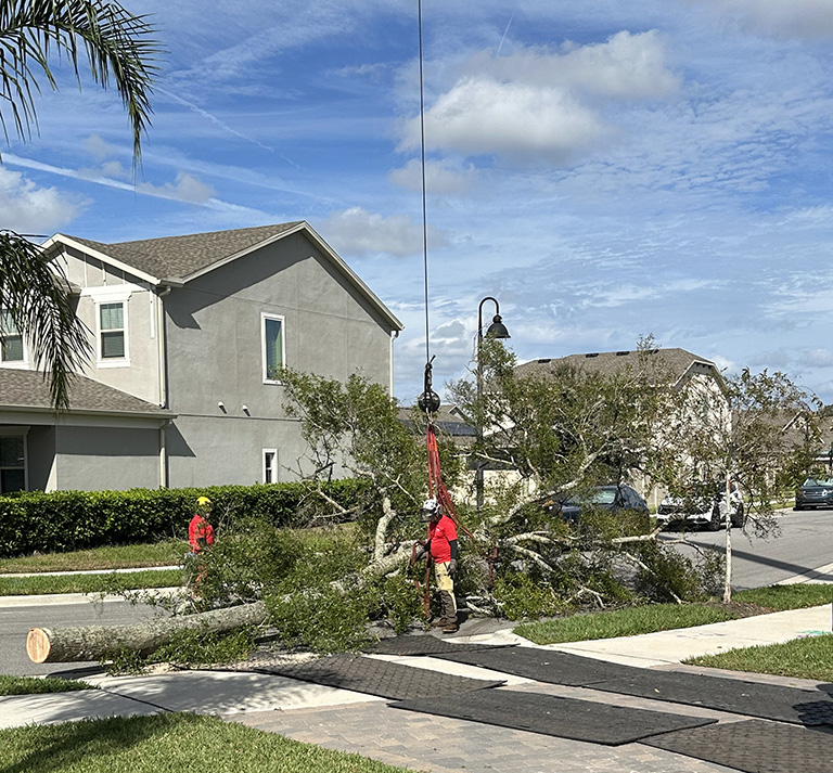 J&J’s Lawn and Tree Service Inc. Apopka, Florida