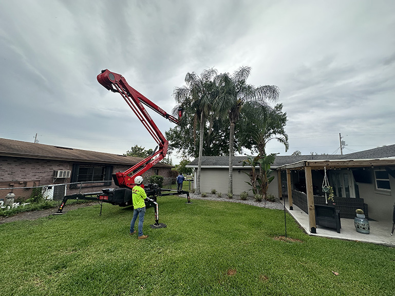 J&J’s Lawn and Tree Service Inc. Apopka, Florida