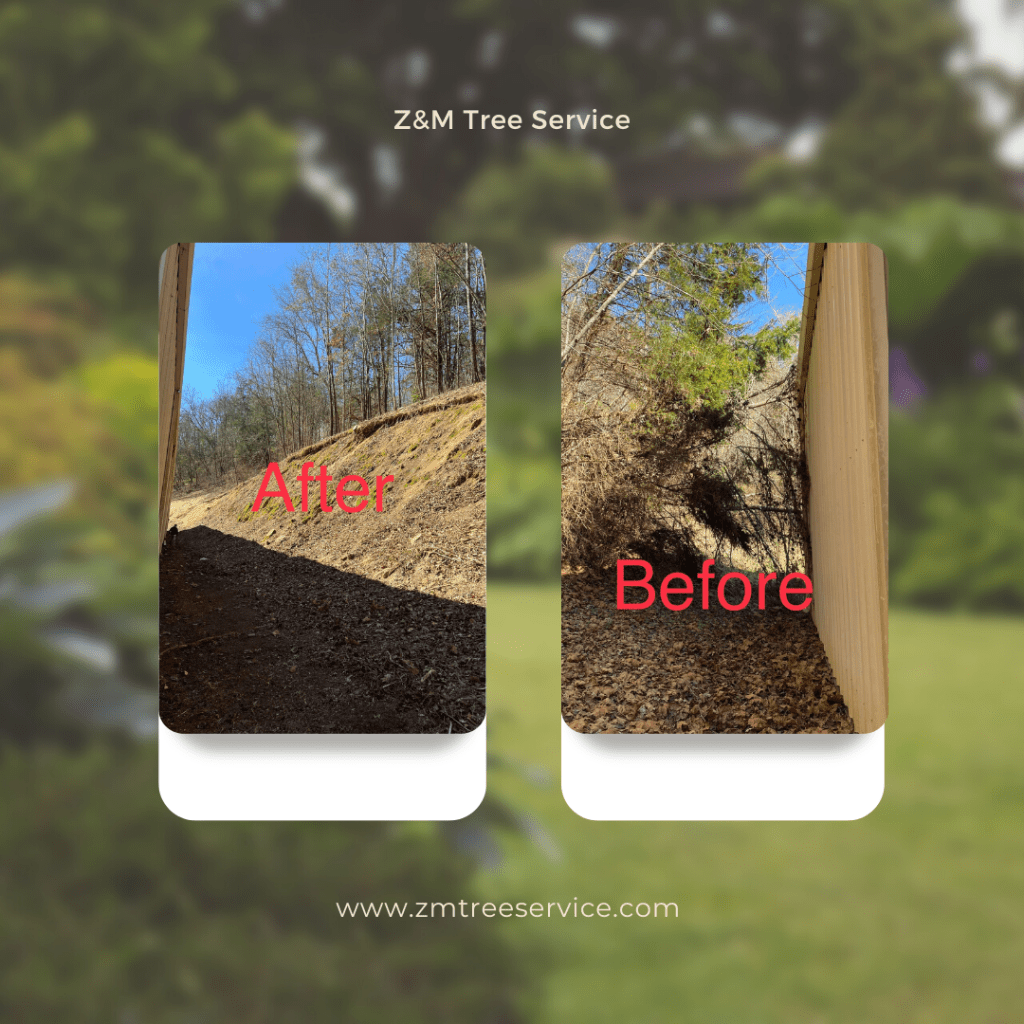Z&M Tree Service Culpeper, Virginia TreeCareHQ