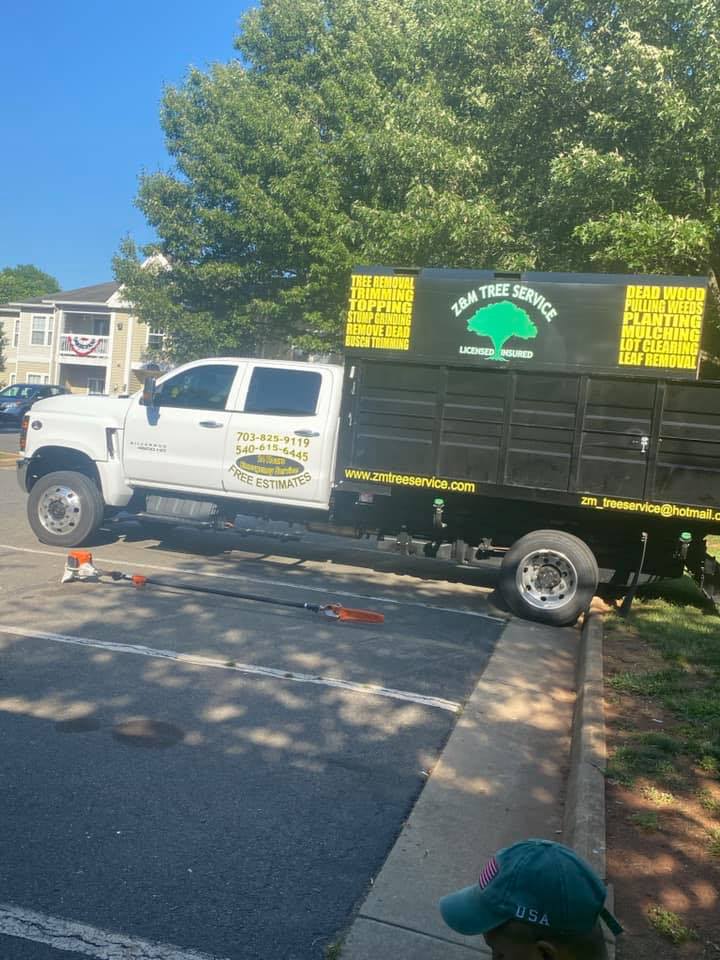 Z&M Tree Service Culpeper, Virginia TreeCareHQ