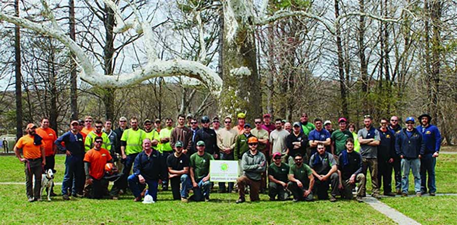 3 Ways to Celebrate Arbor Day Tree Care Tips