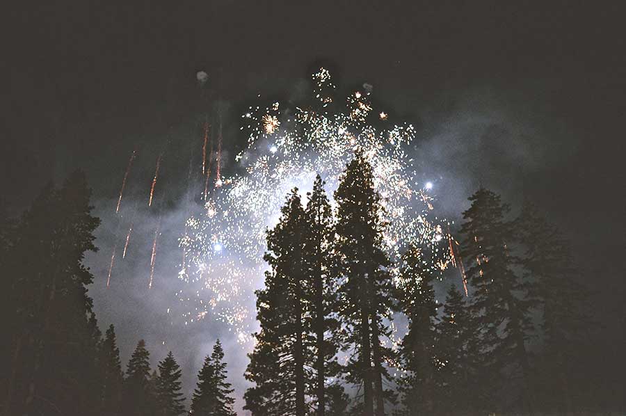 Fireworks and Trees Tree Care Tips