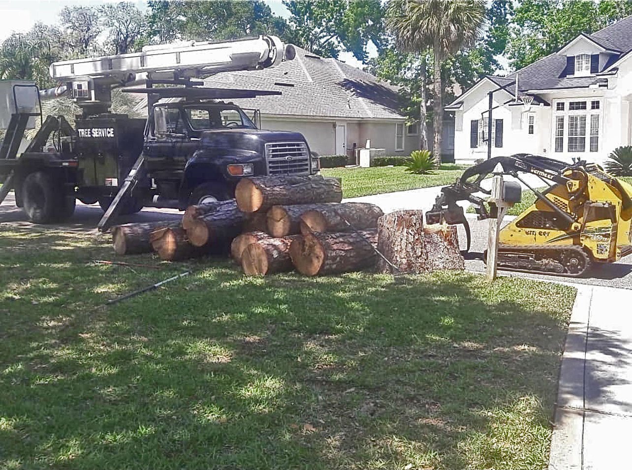 Tree Removal & Debris Cleanup Services TREECO