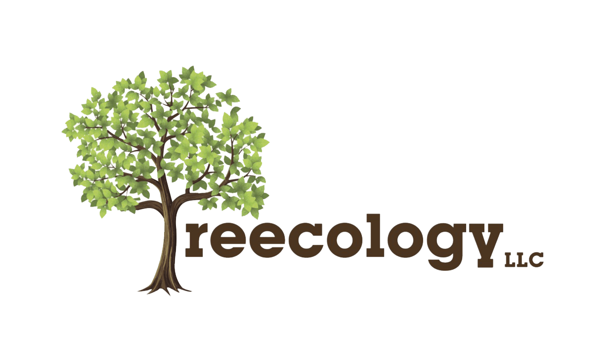 Services Tree Services