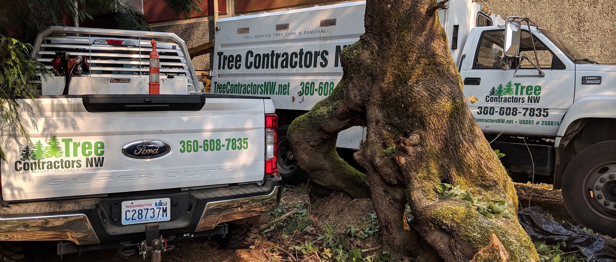 Tree Contractor in Vancouver WA Tree Contractors Northwest Inc