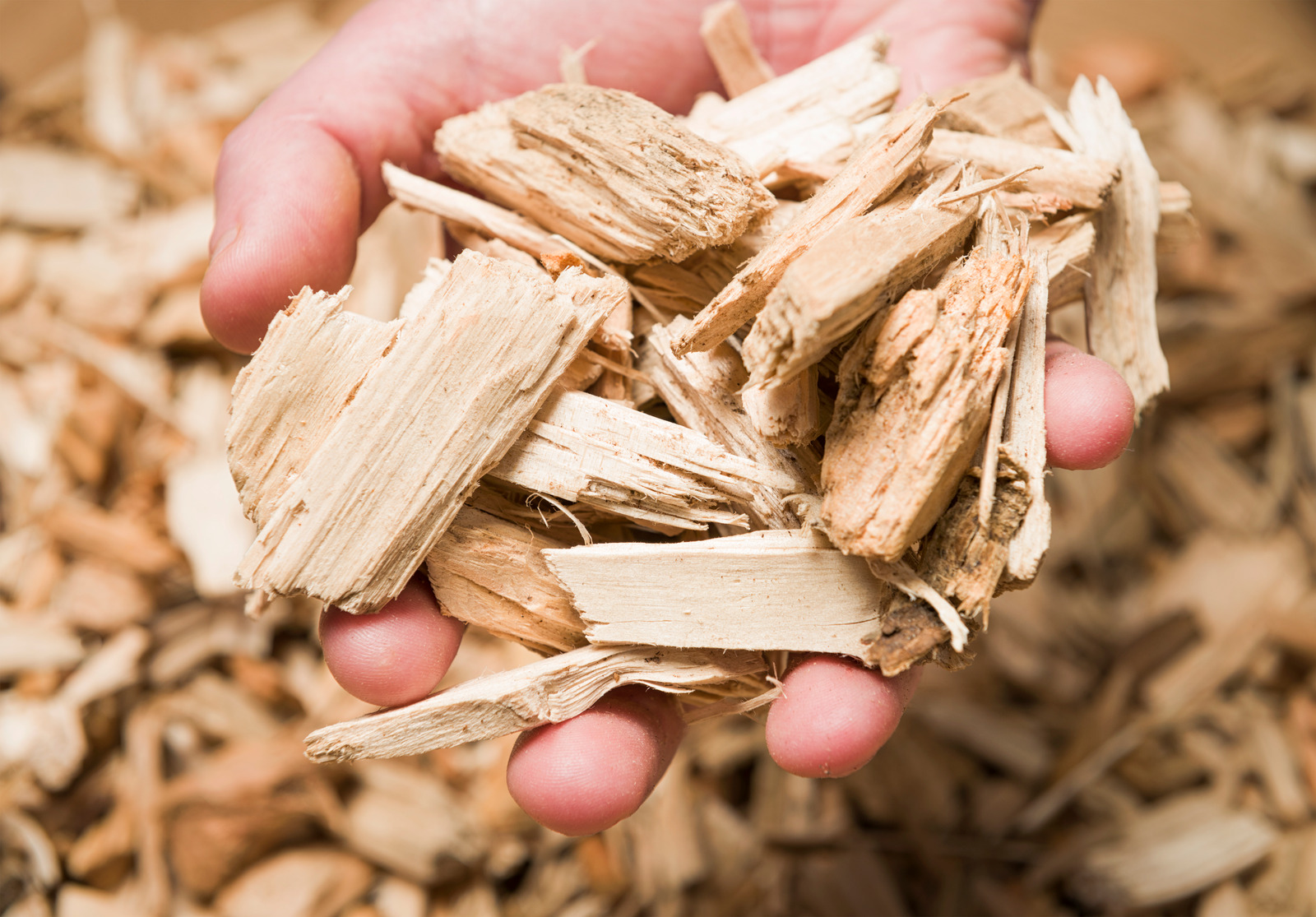 5 Best Uses You Should Know About Wood Chips Tree Control