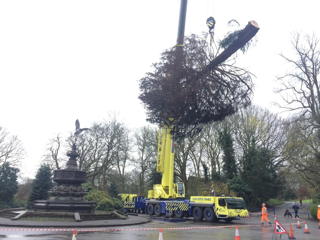 Recent Projects Tree Craft Liverpool