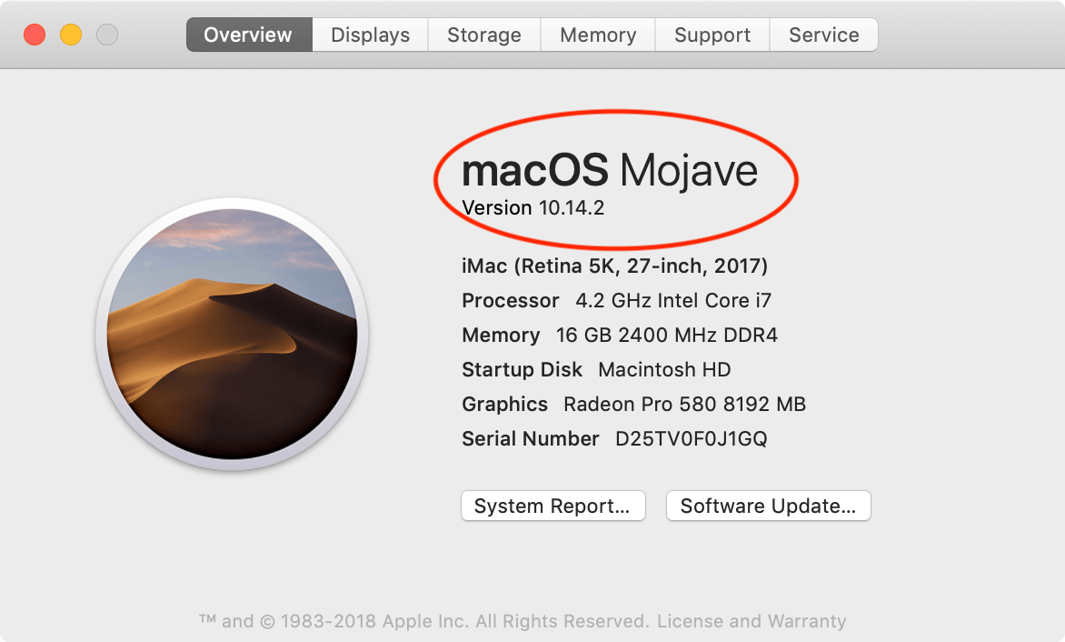 Teams_osx.dmg No Mountable File System treecrazy