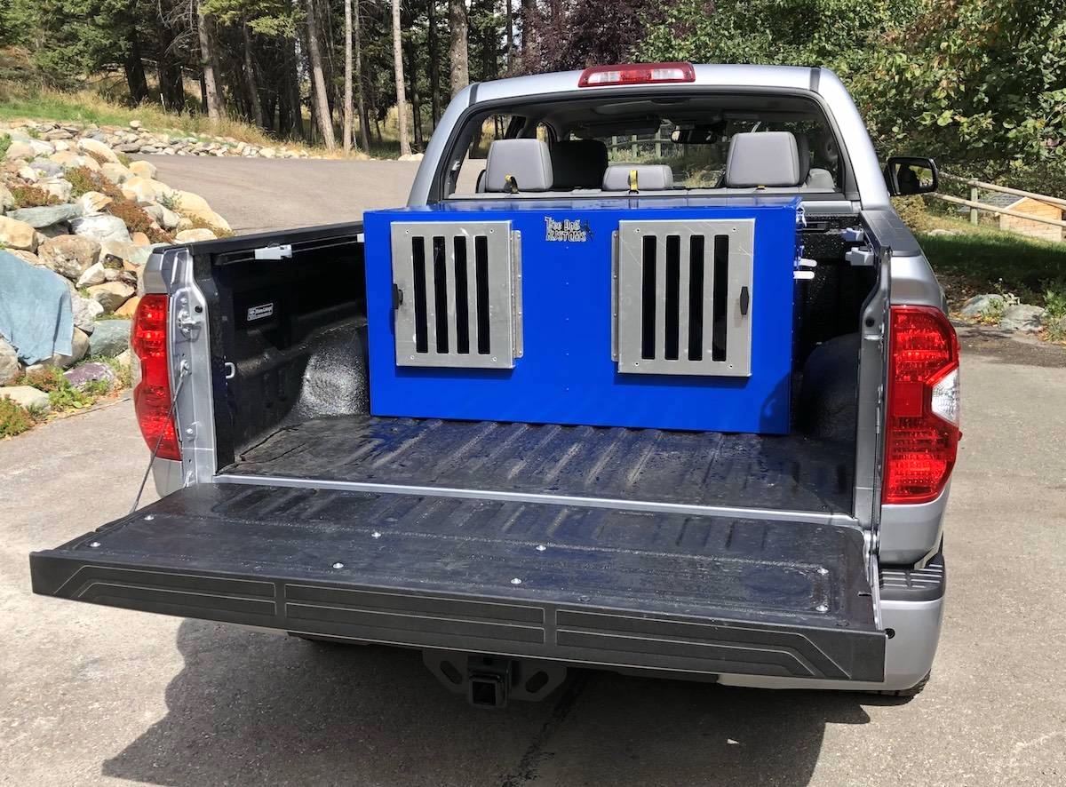 Bird Dog Box Tree Dog Kustoms