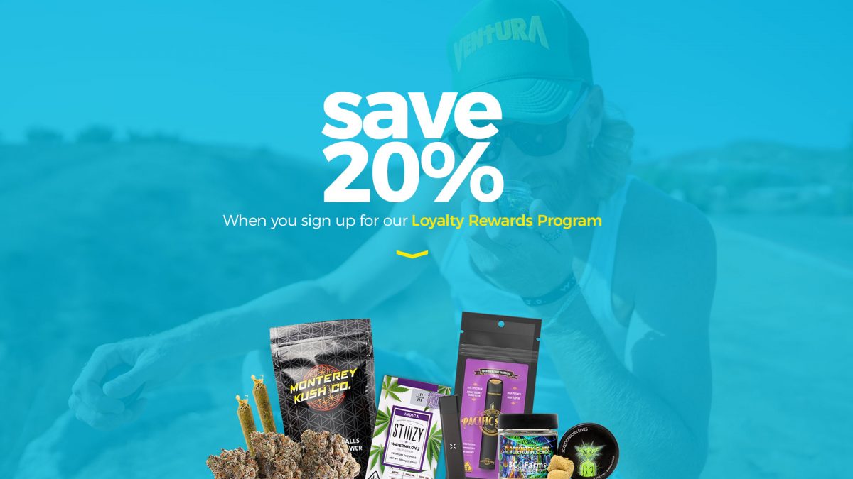 Tree Factory's Most Frequently Asked Questions (FAQ)