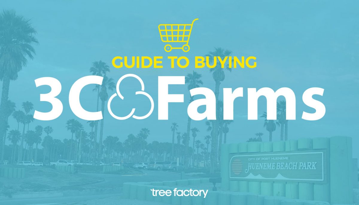 The Complete Guide To Buying 3C Farms At Tree Factory