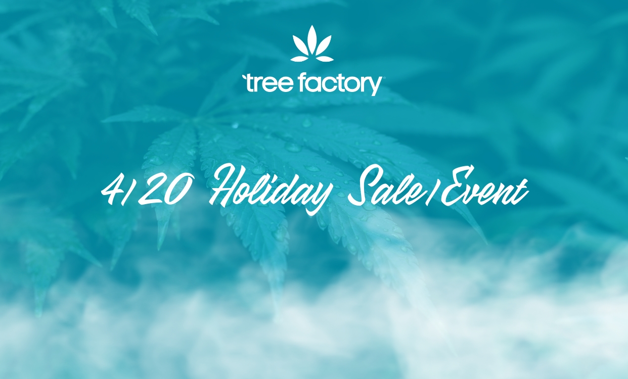 Tree Factory Community Events Looking Back On 20212022