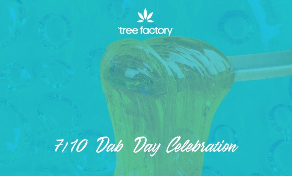 Tree Factory Community Events Looking Back On 20212022