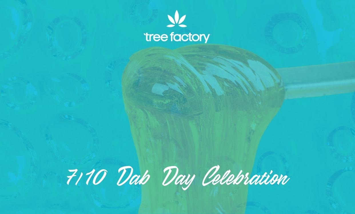 Tree Factory Community Events Looking Back On 20212022