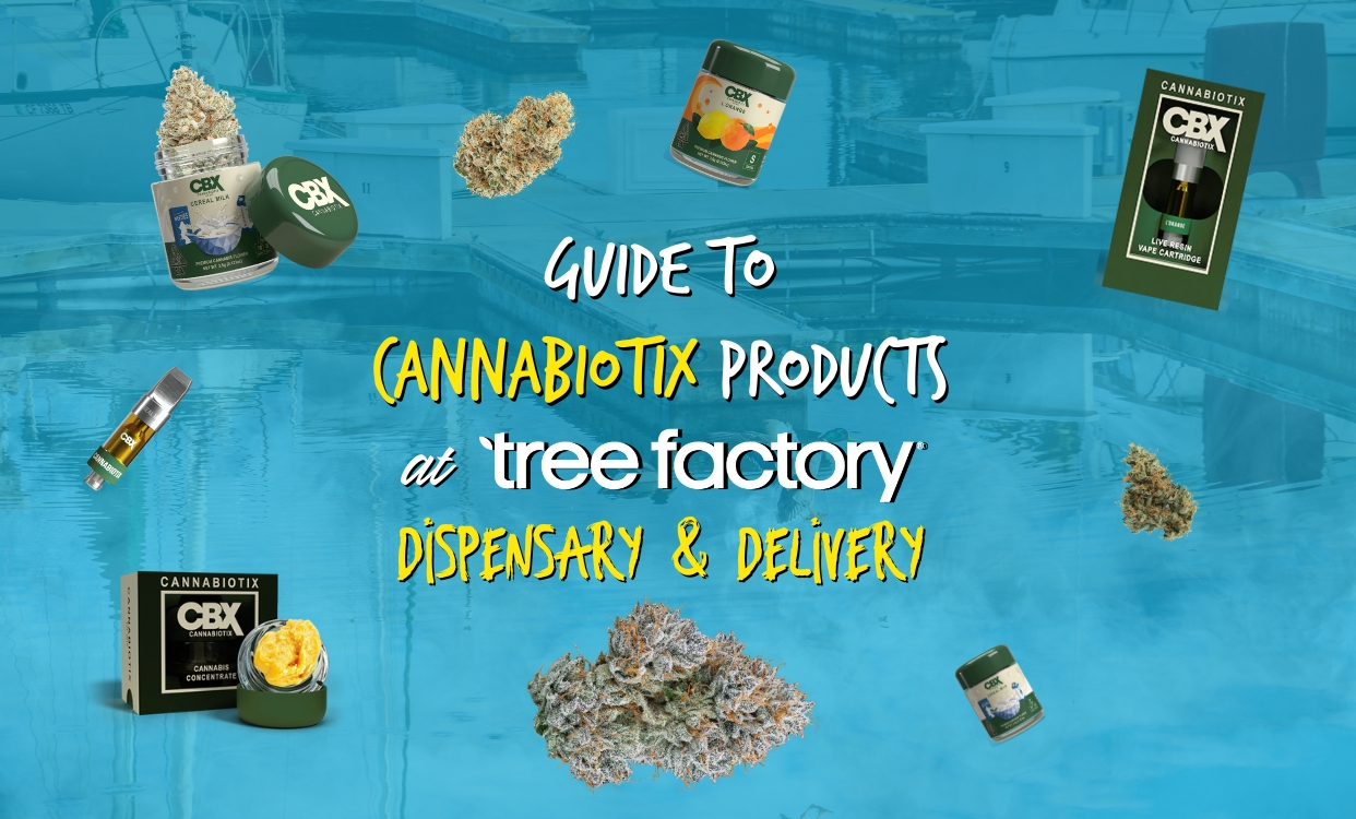 Whiteout strain Archives Tree Factory Cannabis Dispensary & Delivery