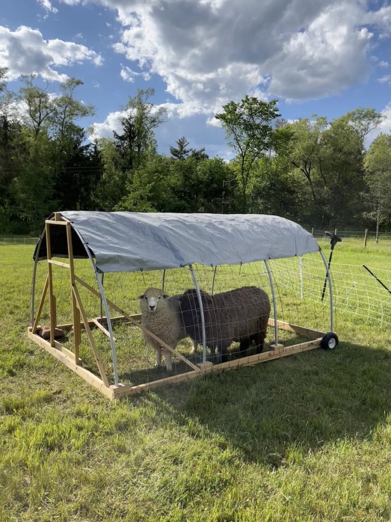 How to Build a Mobile Sheep Shelter » Tree Farm Design Co.