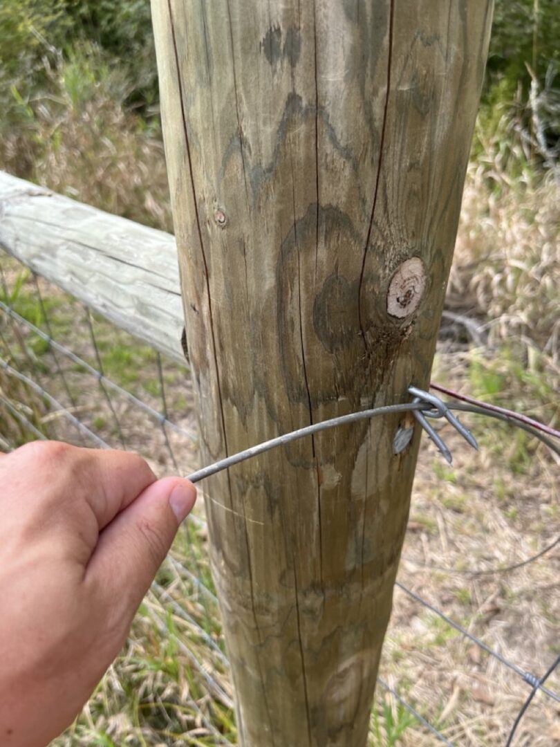 How to Brace a Fence Corner » Tree Farm Design Co.