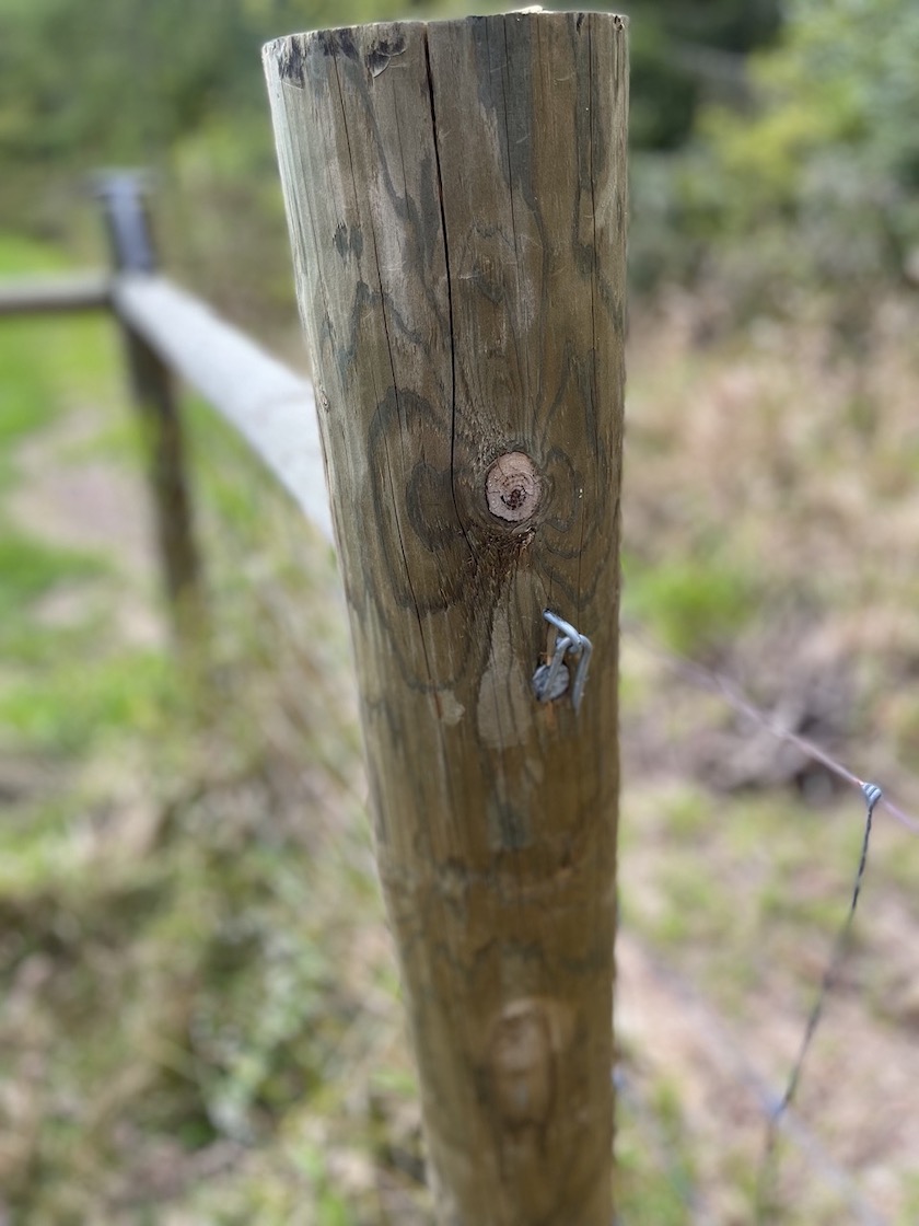 How to Brace a Fence Corner » Tree Farm Design Co.