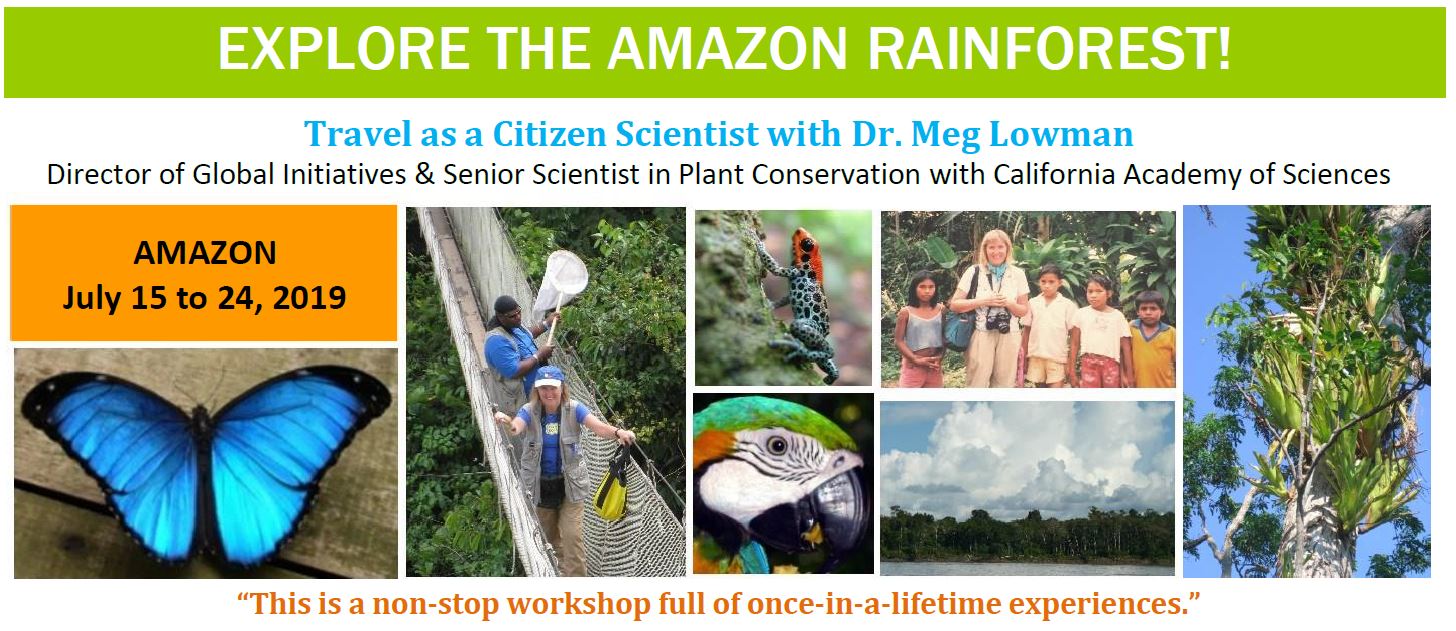 Amazon Rainforest Summer 2019 TREE Foundation