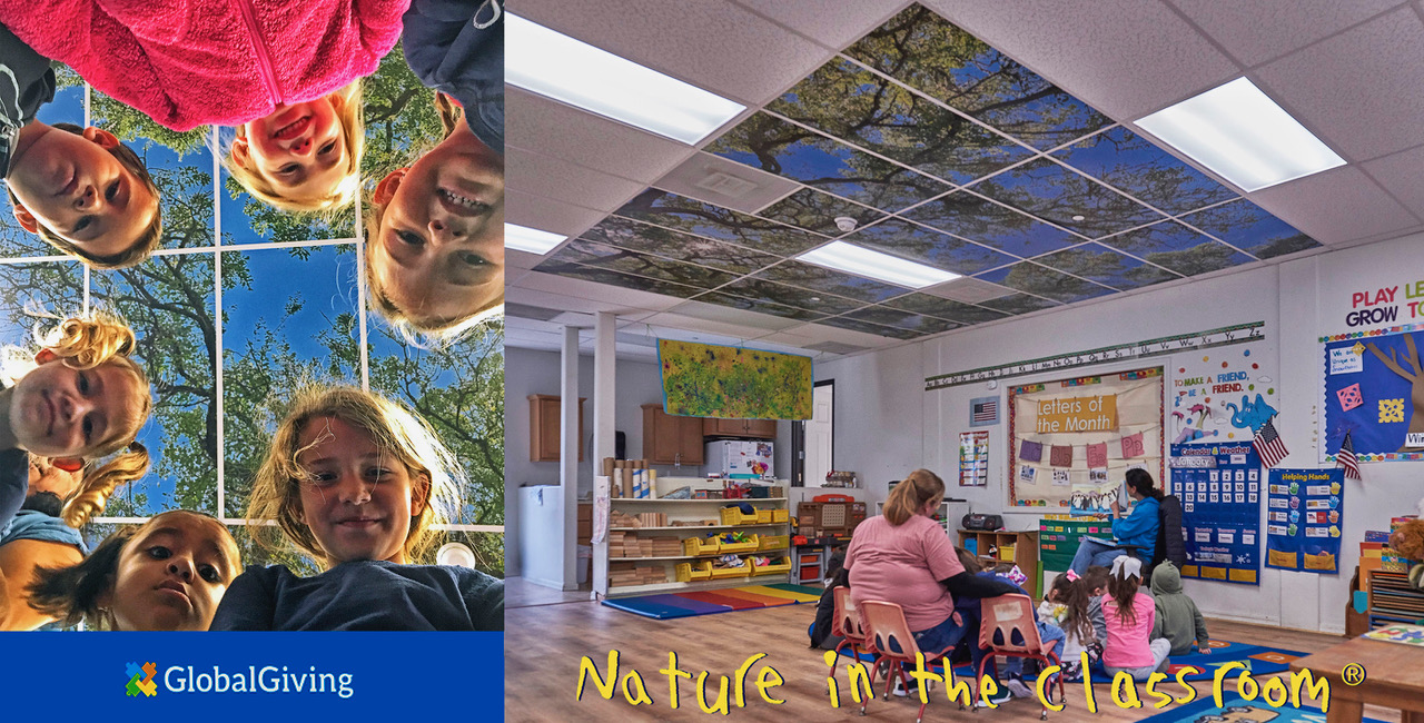 Nature In The Classroom Brings Trees into Learning Spaces TREE Foundation