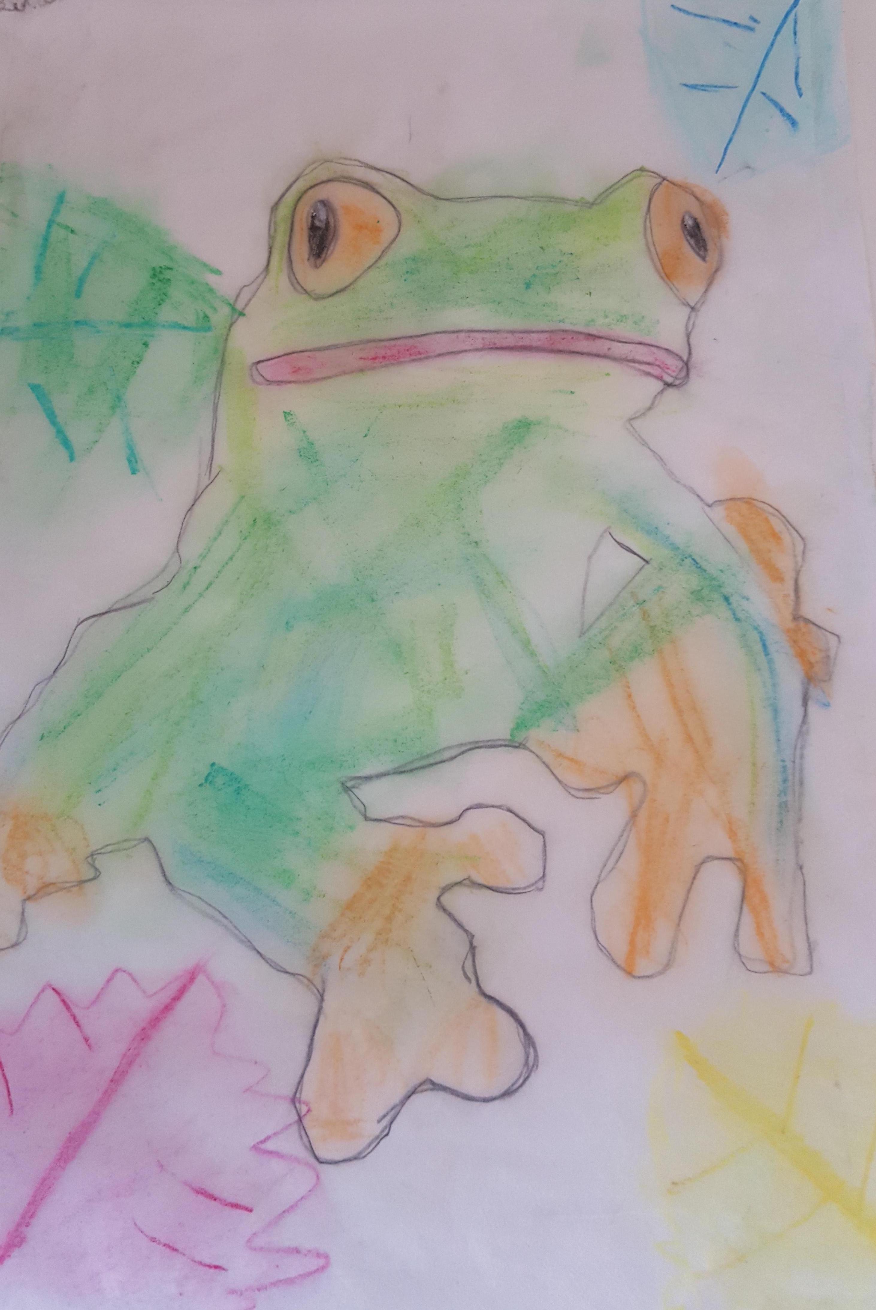 100 Frogs A Treefrog Gallery thriving creativity