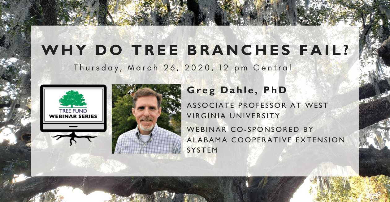 Why do Tree Branches Fail TREE Fund