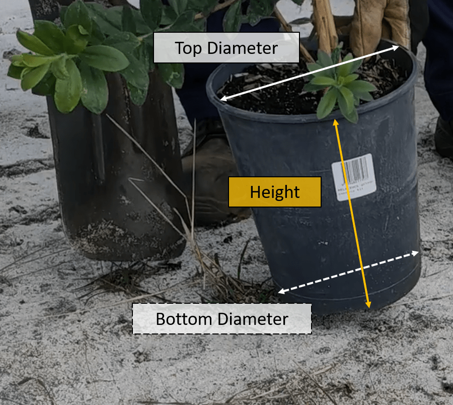 TreeGrow How to Use It?