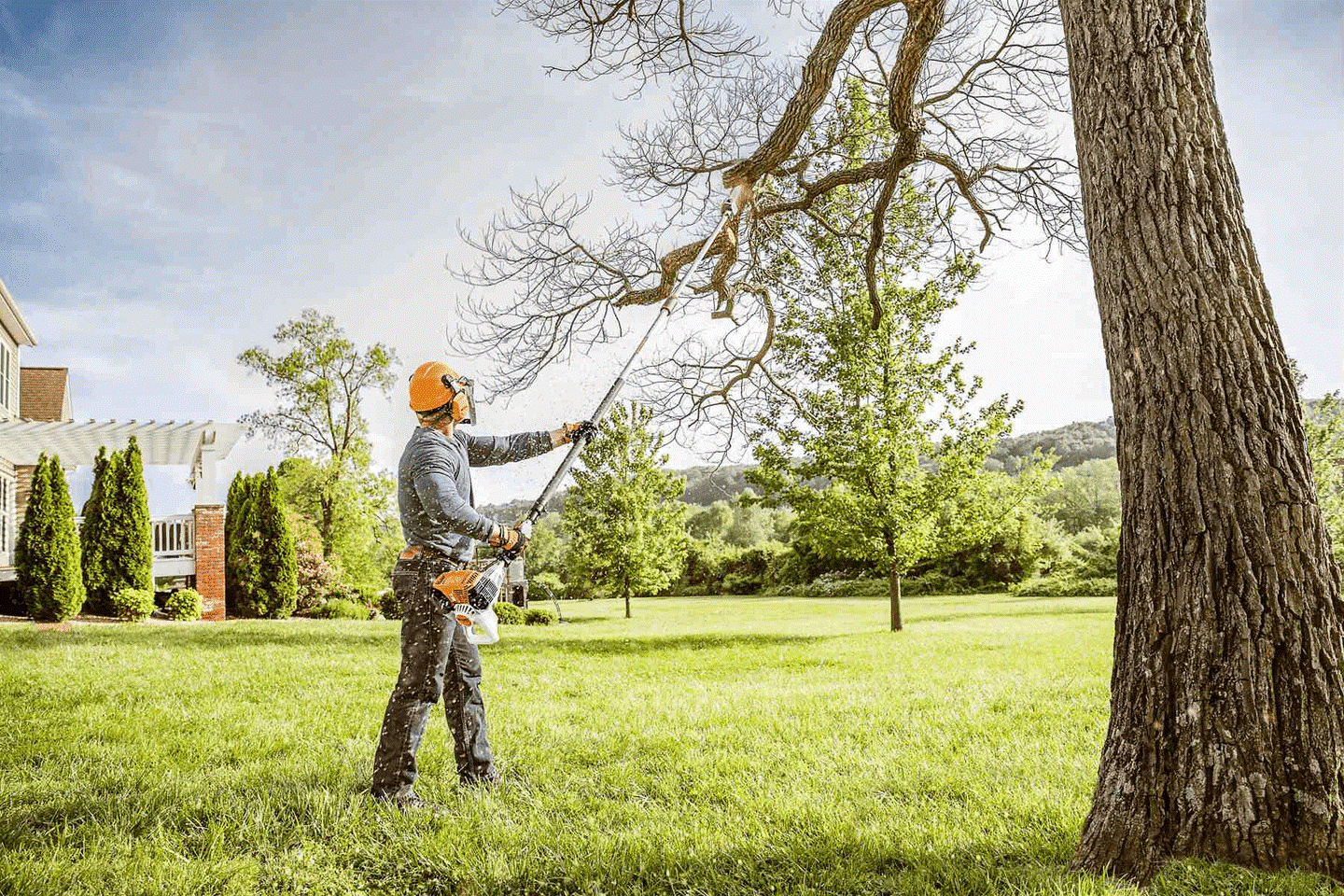 Tree Pruning Prices [Click Here for the Best Rates]
