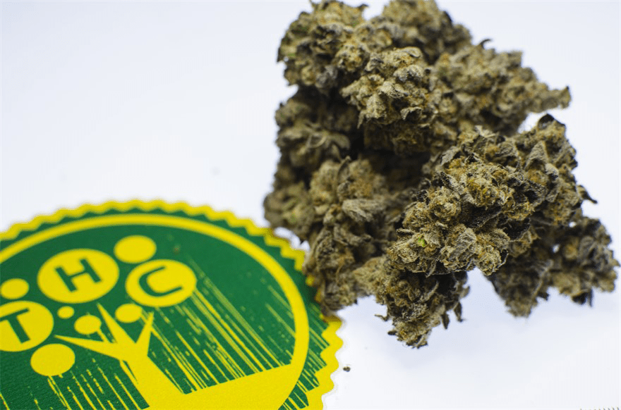 Gallery TreeHouse Collective