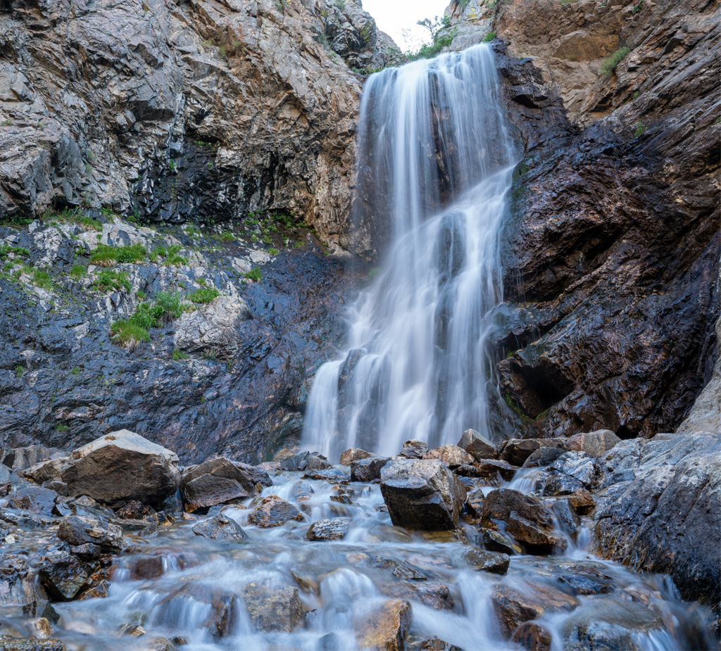 Myopia Care in Layton, Utah Treehouse Eyes