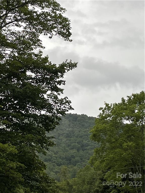 Tree House Realty North Carolina Tree House Mountain Realty