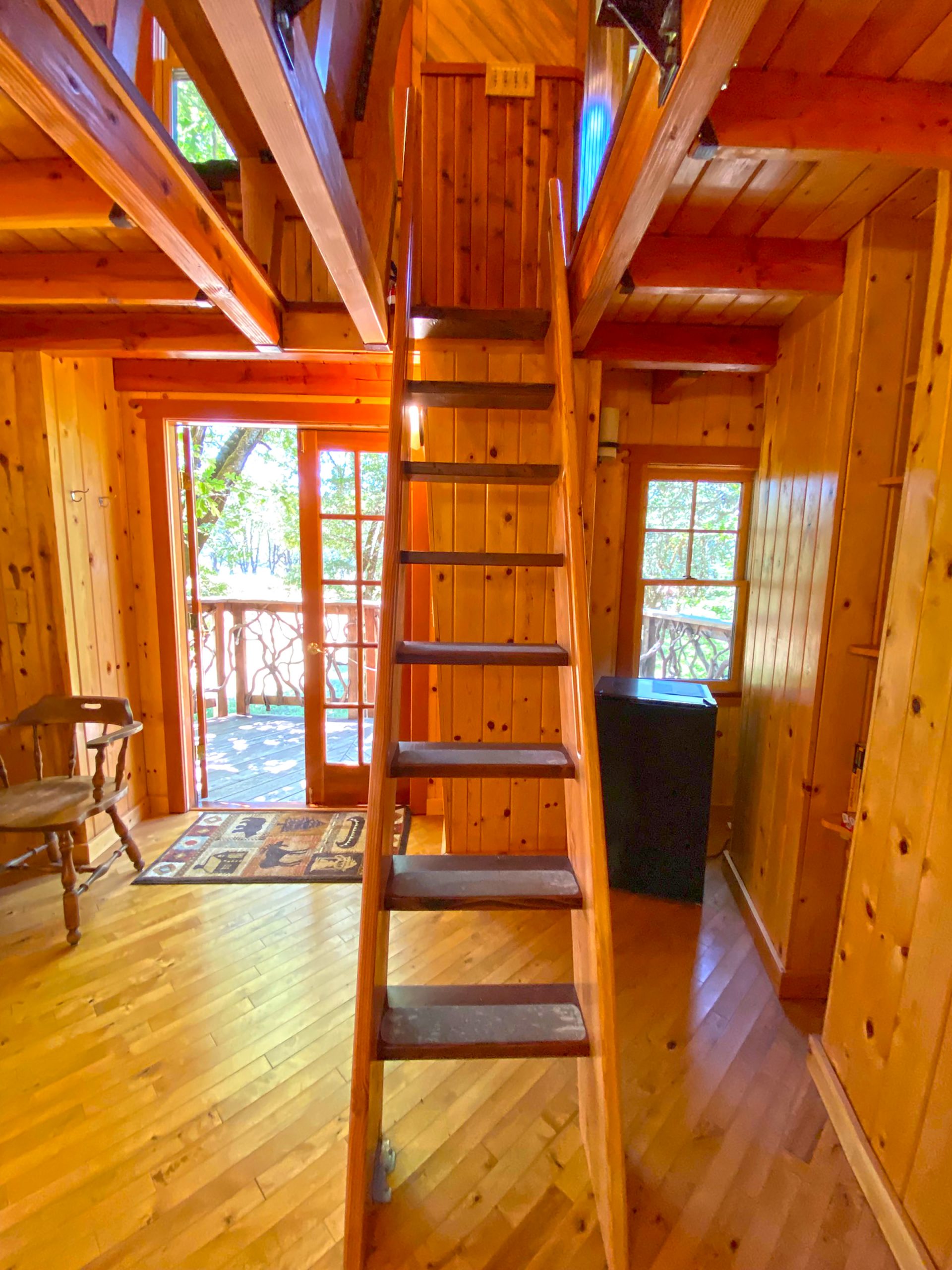 Castle Tree Out N About Treesort