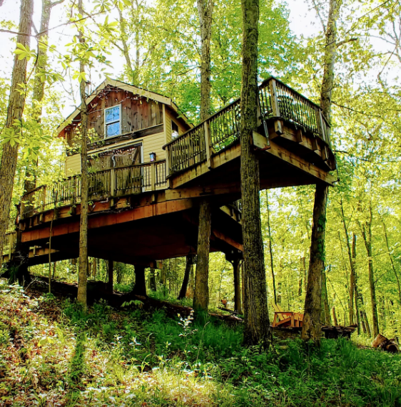 Pete NelsonBuilt Treehouse Rentals You Need to See Treehouse Serenity