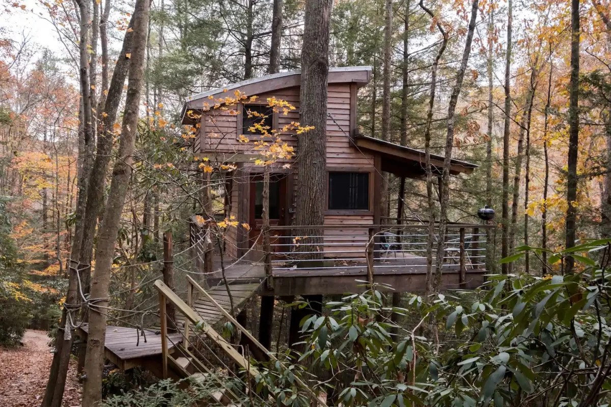 5 Astonishing Treehouse Rentals in Red River Treehouse Venture
