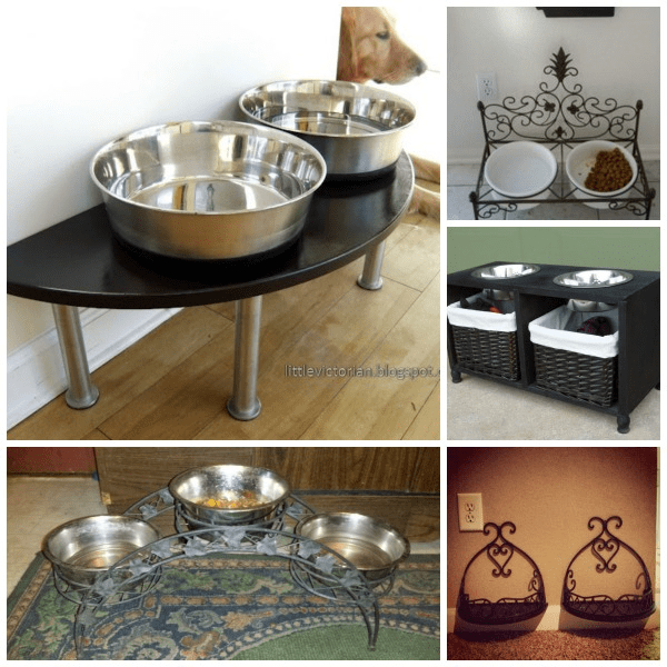 DIY EcoFriendly Pet Feeding Station Tree Hugging Pets the all