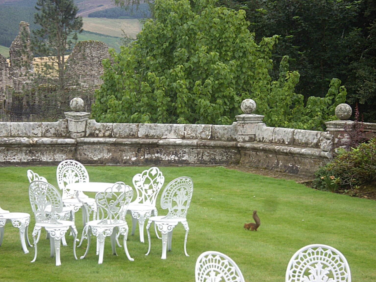 Guide Topdressing Lawn Grass Treeier