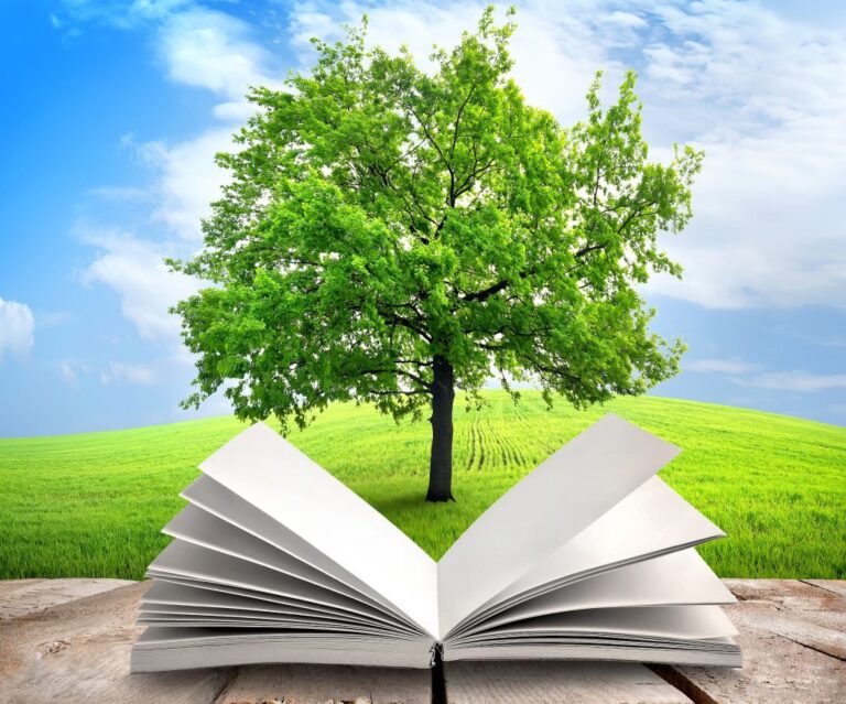 How Many Tree Species Are in the World? Treeier