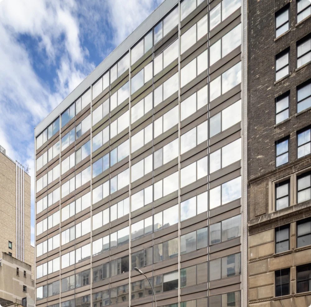 Brooklyn Office Treeline