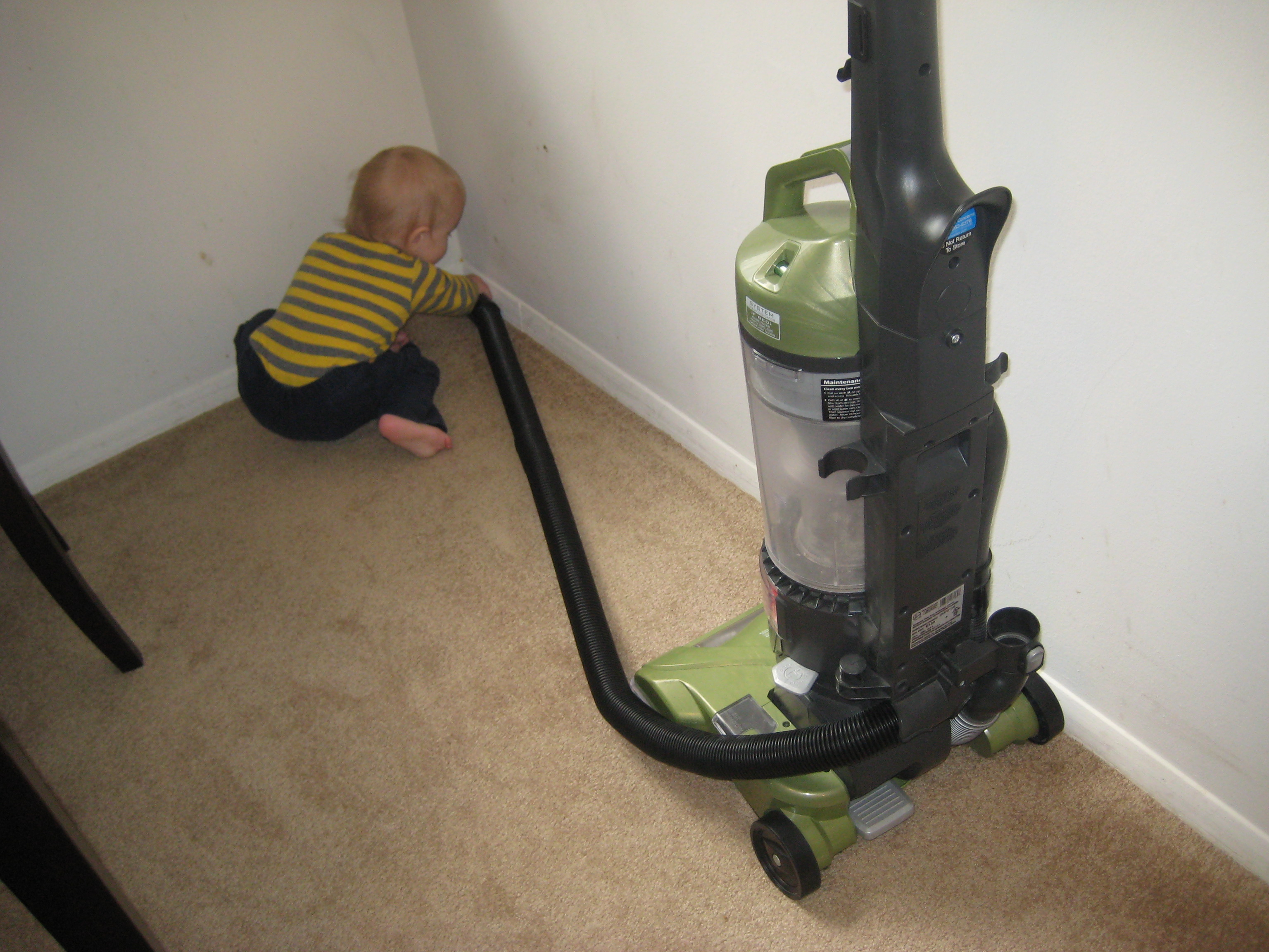 A Housewife Tree Mama