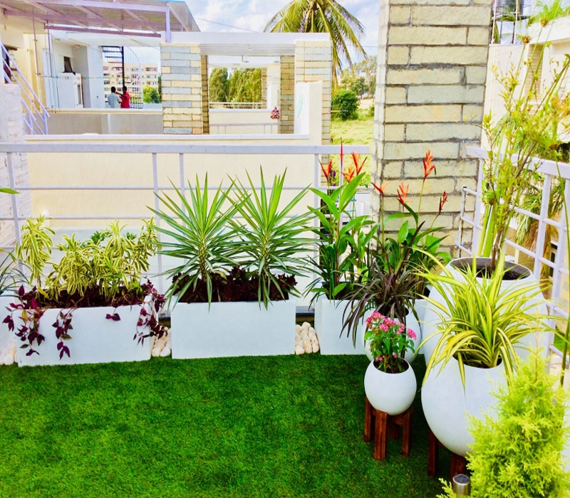Terrace Garden Services Bangalore Landscape Design Treemendous