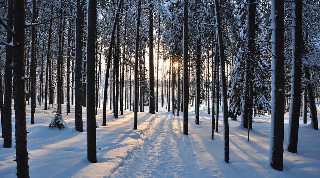 The Ultimate Guide to Caring for Young Trees in Winter Winter Treecare