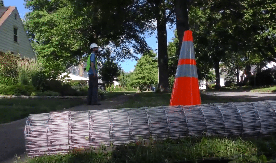 How To Setup A Tree Protection Zone Tree Protection Zone TreeNewal