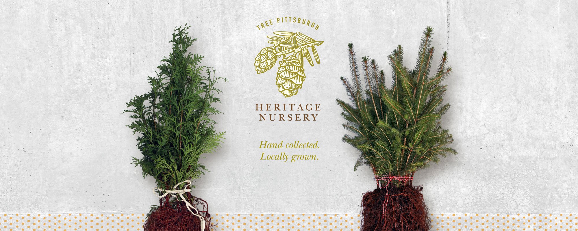 Tree Pittsburgh Heritage Nursery Create a Healthy Urban Forest