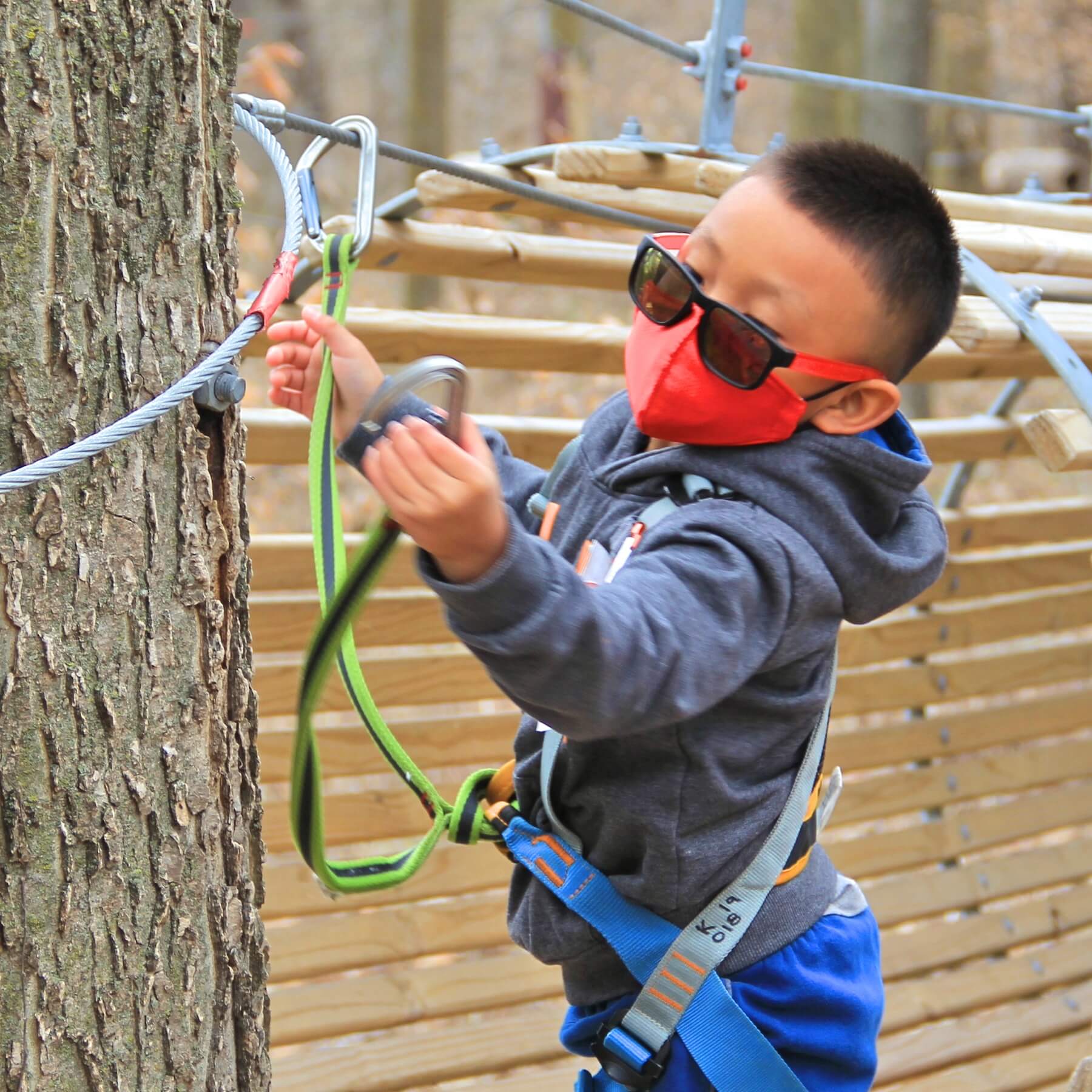 Top Five Reasons to Feel the Rush at TreeRush TreeRush Adventures