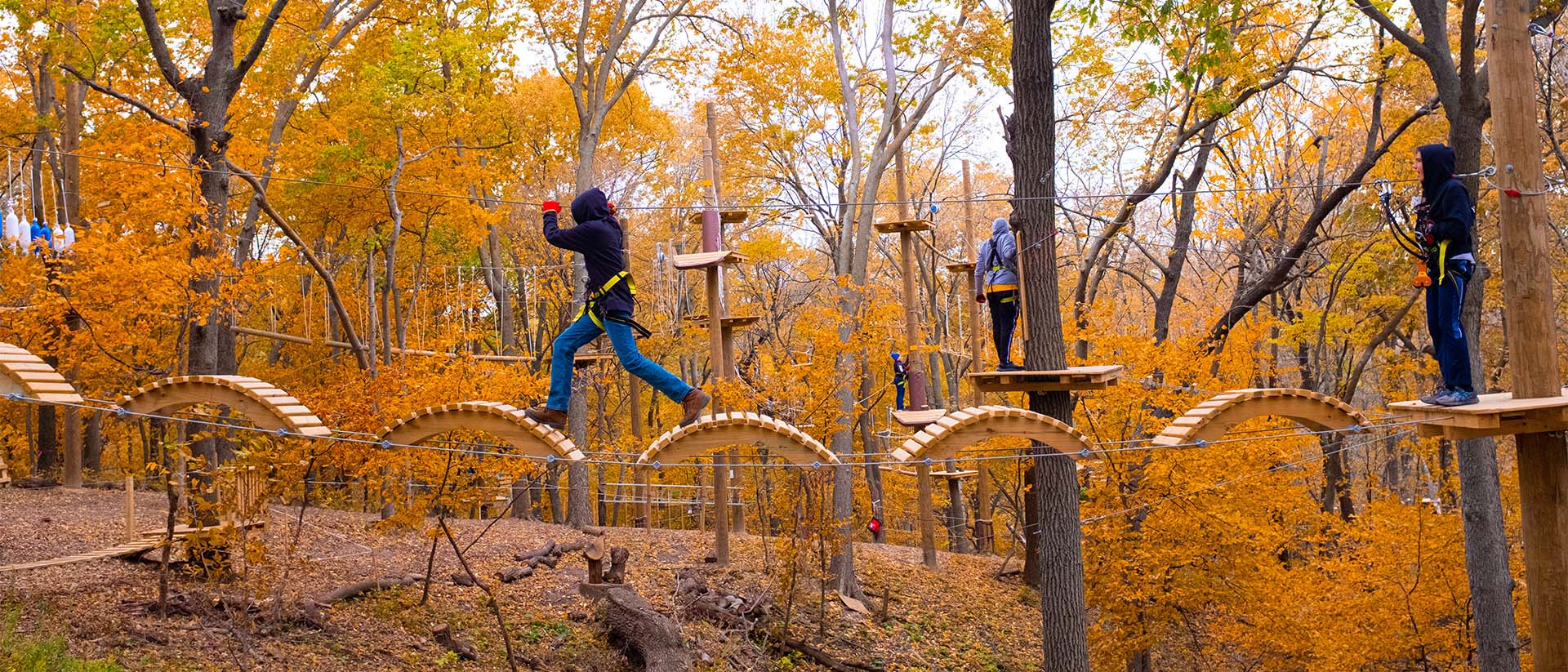 Haunted TreeRush TreeRush Adventures TreeRush Adventures