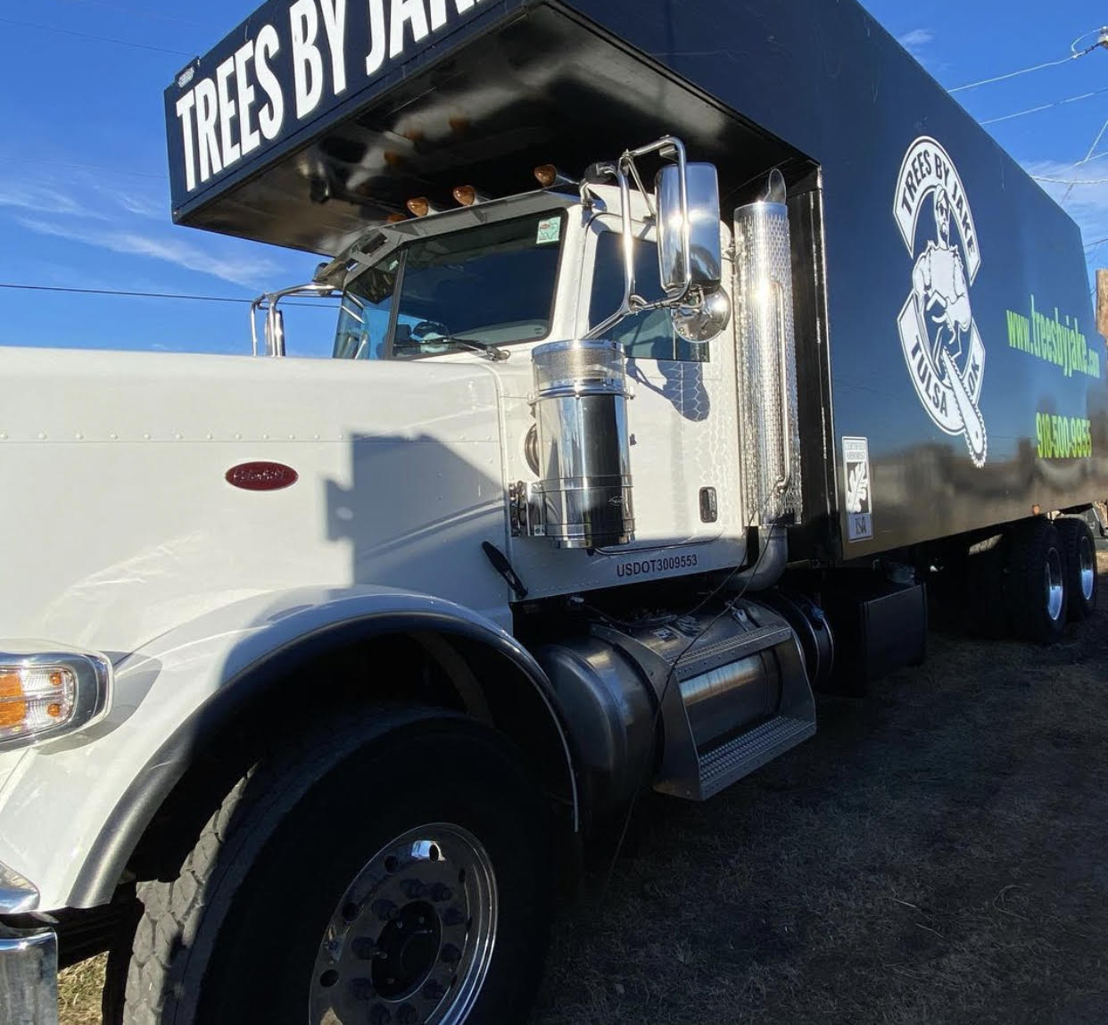 Tree Removal Service Tulsa Dead and Fallen Tree Service Near Me