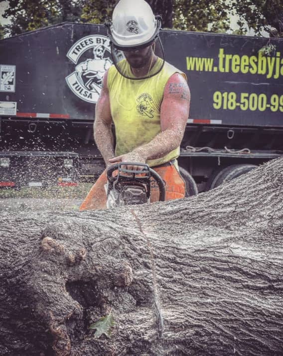 Bixby Tree Service and Certified Arborist Near Me Bixby OK