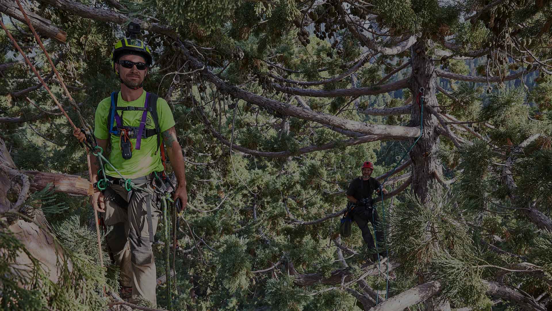 Volunteer Work Absher Tree Specialists Blacksburg, Virginia