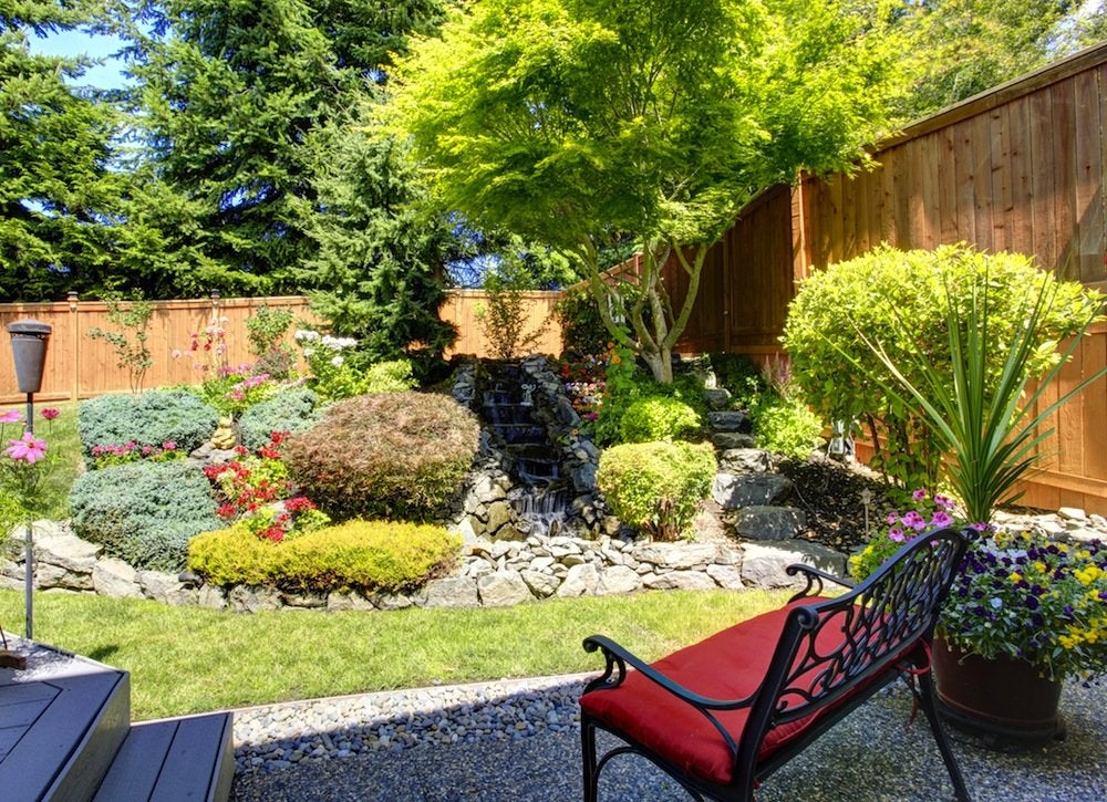 6 Trees That Are Perfect for Small Backyards Treescape
